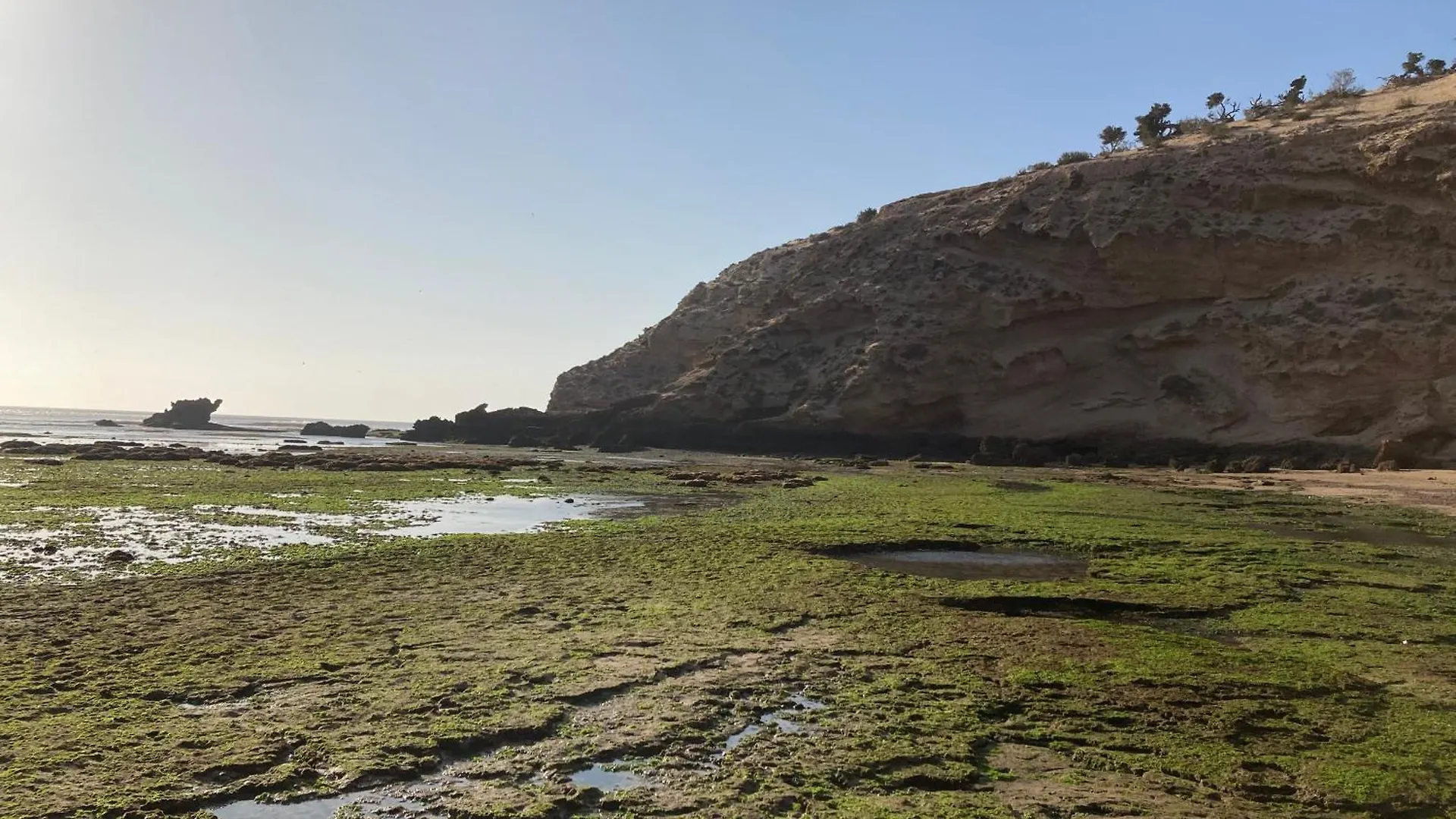 Octopus House Essaouira